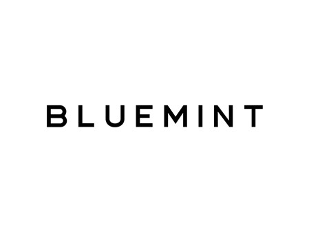 Bluemint